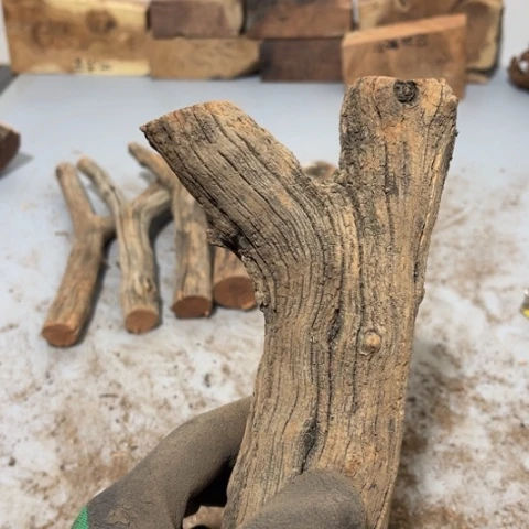 大果紫檀（缅甸花梨）捌*