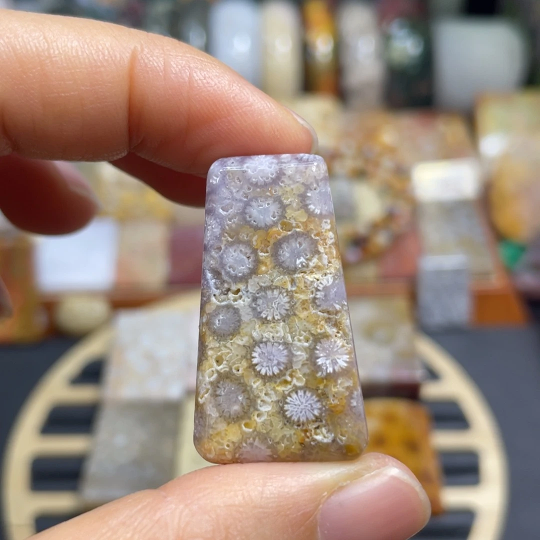 硅化玉未镶嵌颈饰k1