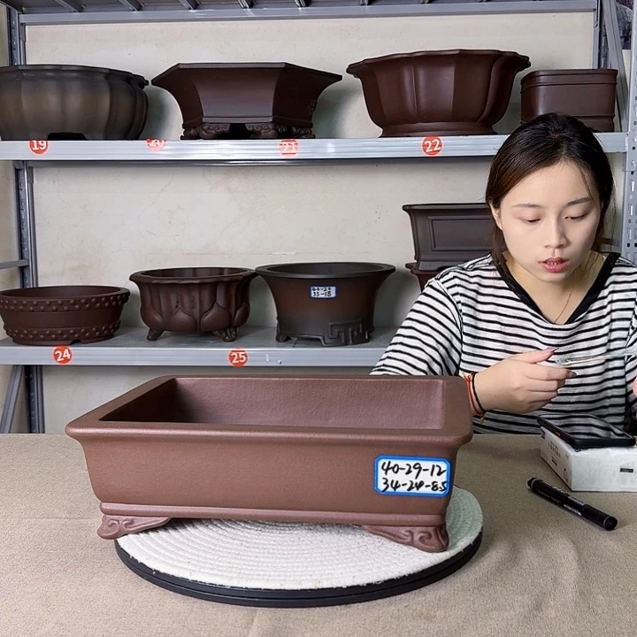 紫砂花盆紫砂花开