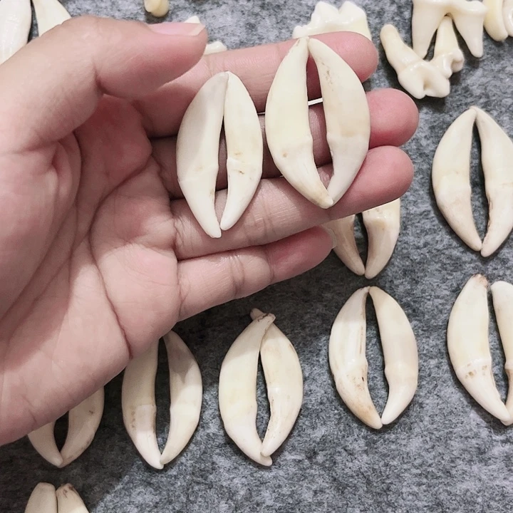 非金属无原生黑牙2对