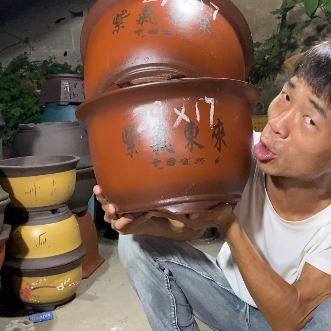 紫砂紫砂紫砂紫砂紫砂