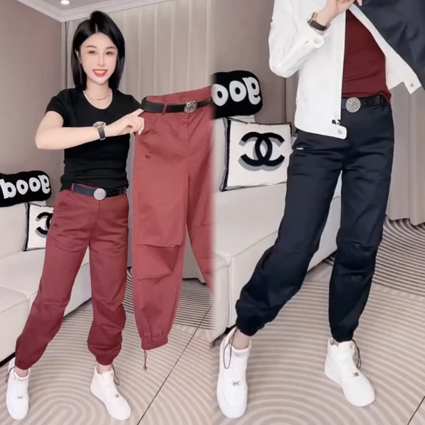 2025秋季新款网红爆款时尚哈伦裤小脚裤高腰束脚显瘦女裤子九分裤