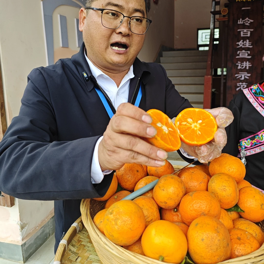 一村一品农家现收精选-沃柑