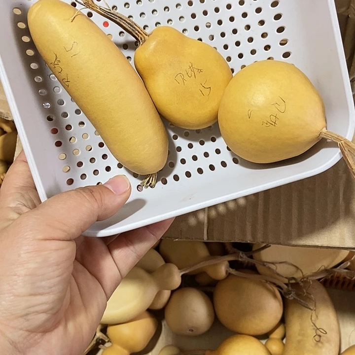 贝****贝塔贝塔贝塔葫芦