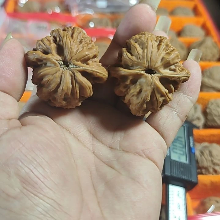 文玩核桃吊坠玄武手工打底