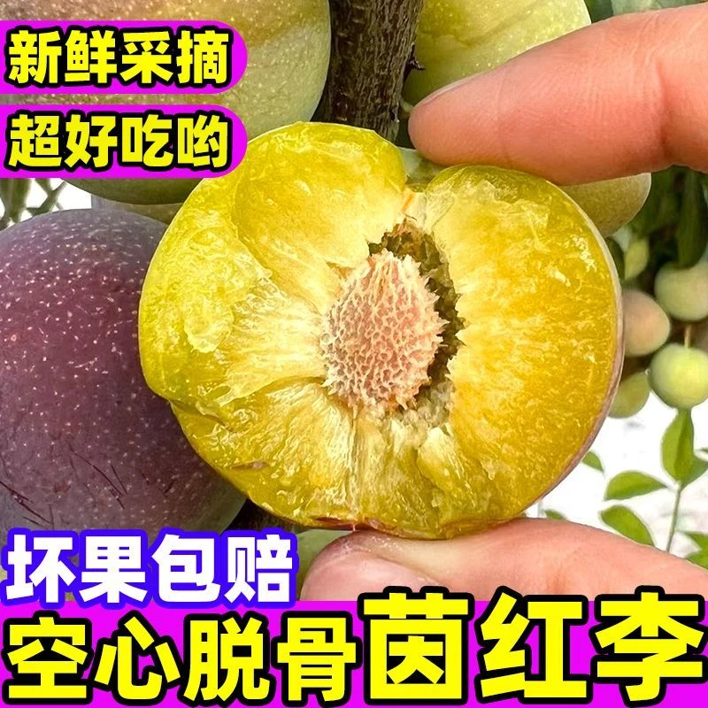 【应季鲜果】正宗四川高山脱骨李半边红清脆红李红李子茵红李子