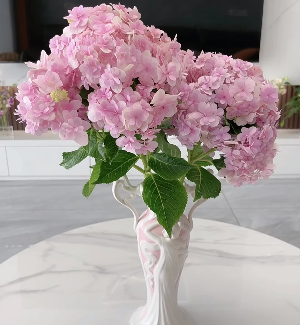 【花手鞠绣球】花手鞠绣球2枝  | 全场任意满两单鲜花包邮