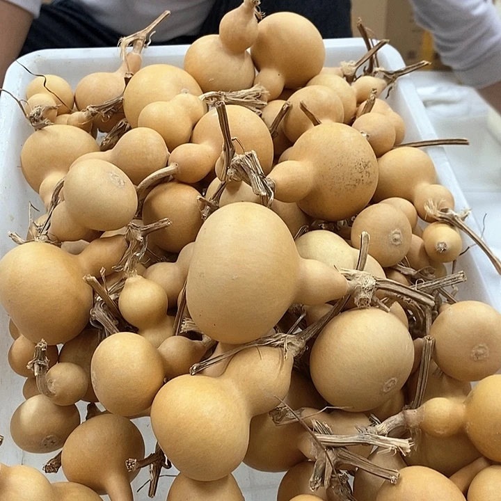 尾货微瑕通货不挑