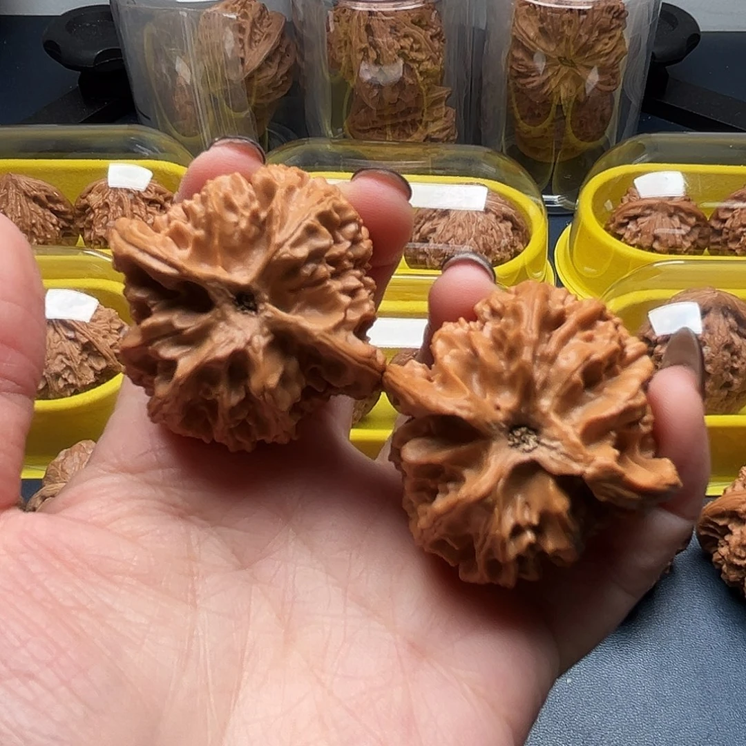 核桃43尺寸苹果园