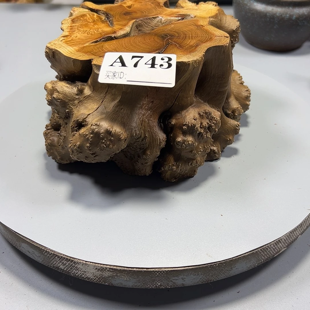 大果紫檀（缅甸花梨）光**月