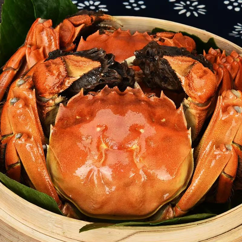 【活蟹】拍8只送2只 公蟹3.5两+母蟹3.5两10只装苏州精品大闸蟹冷链