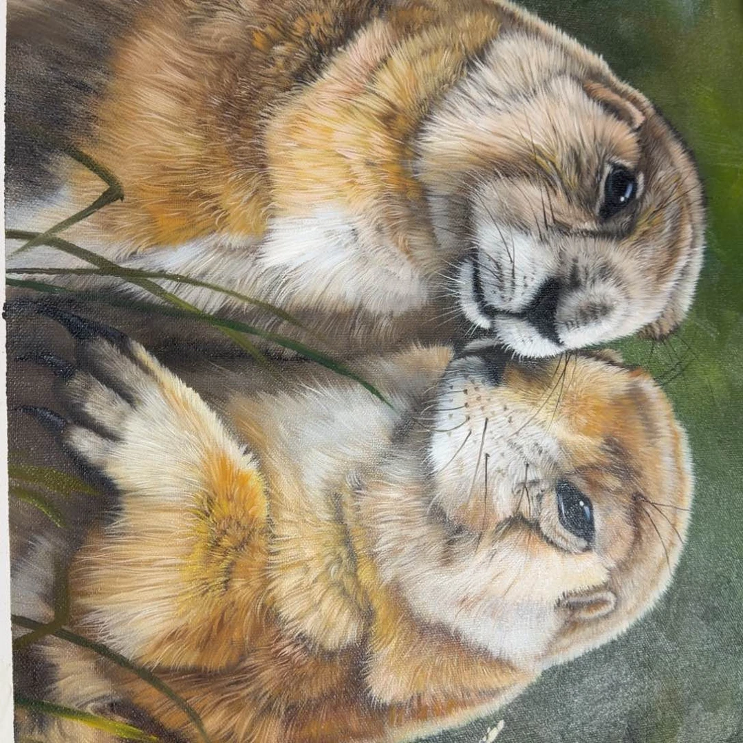 油画在哪点哦嘛你现在