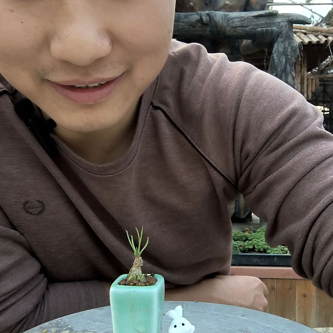 話****、小盆景小植物一物一拍246