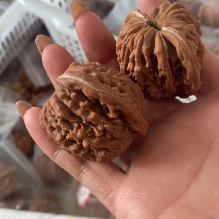 小***大四座楼四座楼四座楼