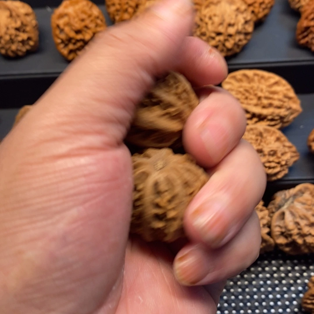 S***T手串/手链核桃在这个充满生机盎然活力