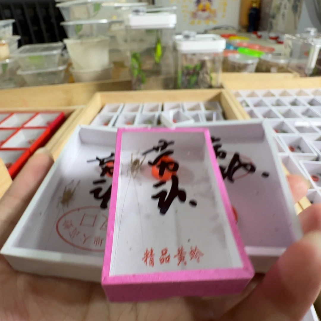 劳**民一套漂亮好看
