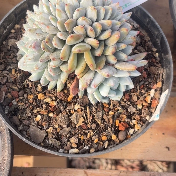 哈哈哈哈哈哈哈哈