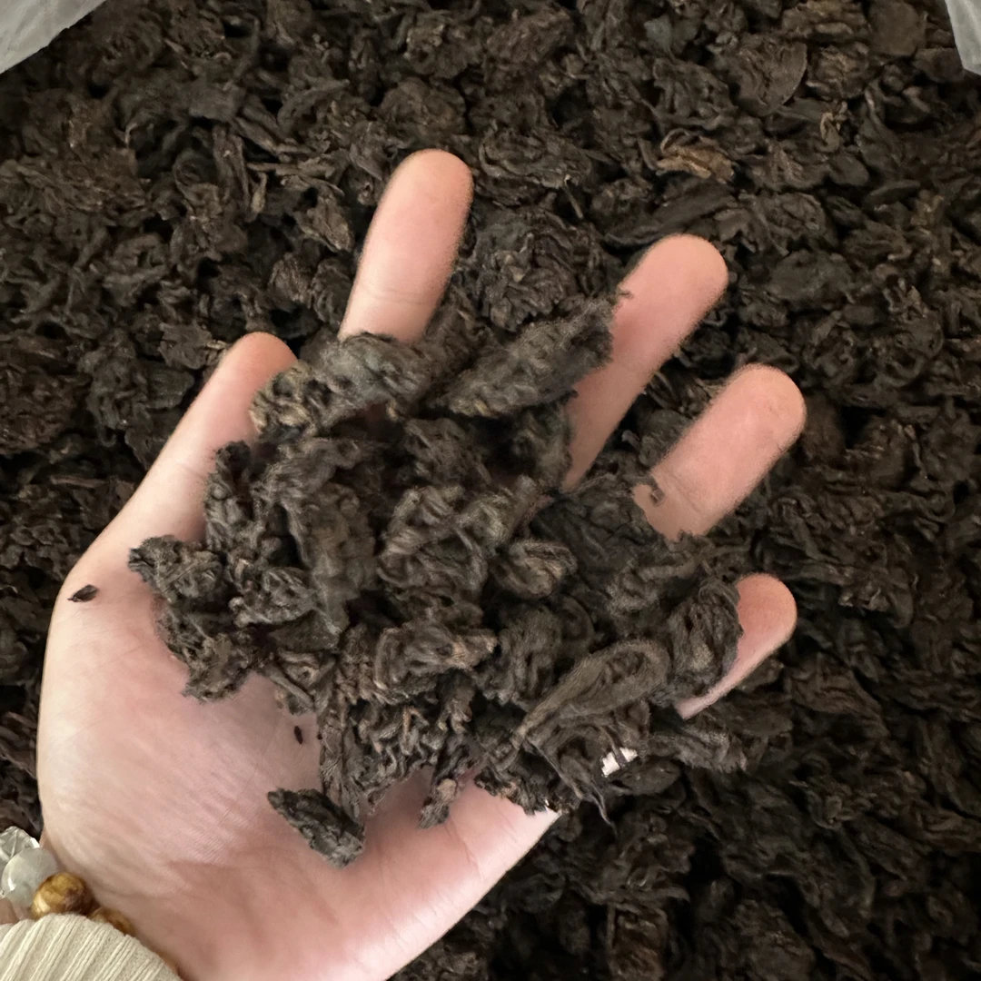 小户赛老茶头古树 2024年 100克散茶