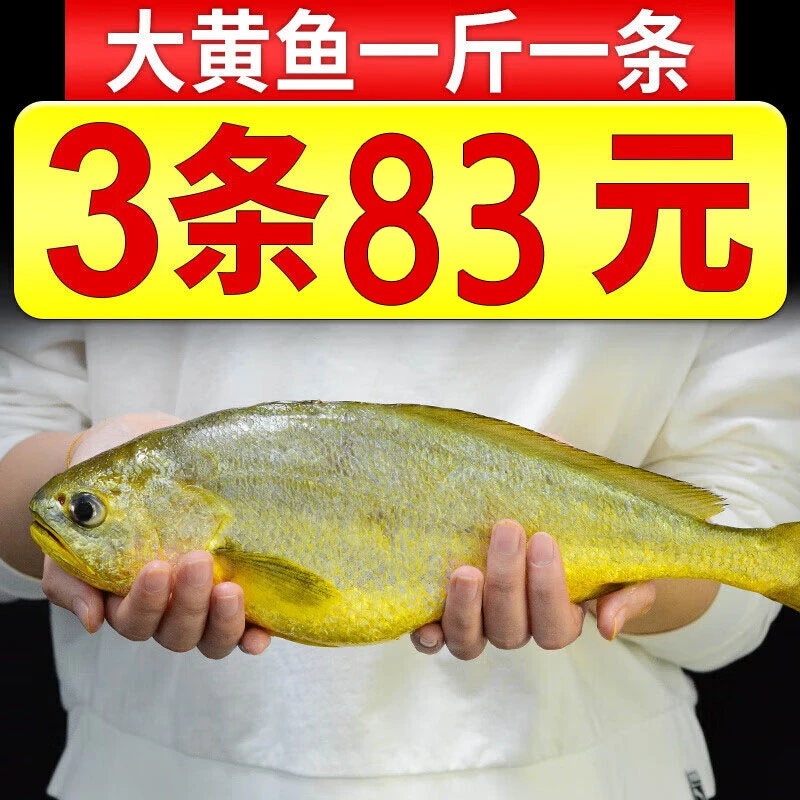 黄花鱼新鲜甄选大黄鱼海鲜水产黄鱼海鱼生鲜海捕深海鱼烧烤食材