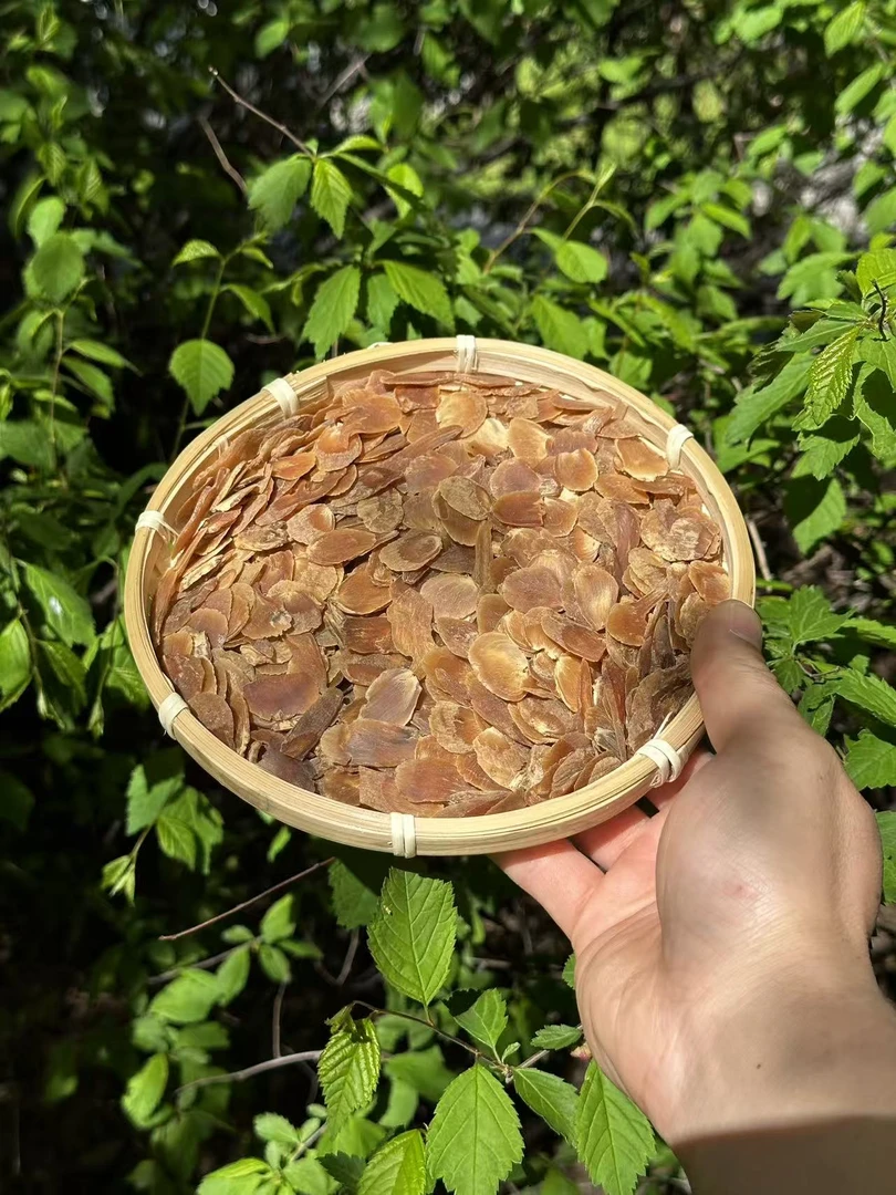 长白山红参片 微瑕疵（二刀小片）红参是 小片 福利 煲汤 泡水