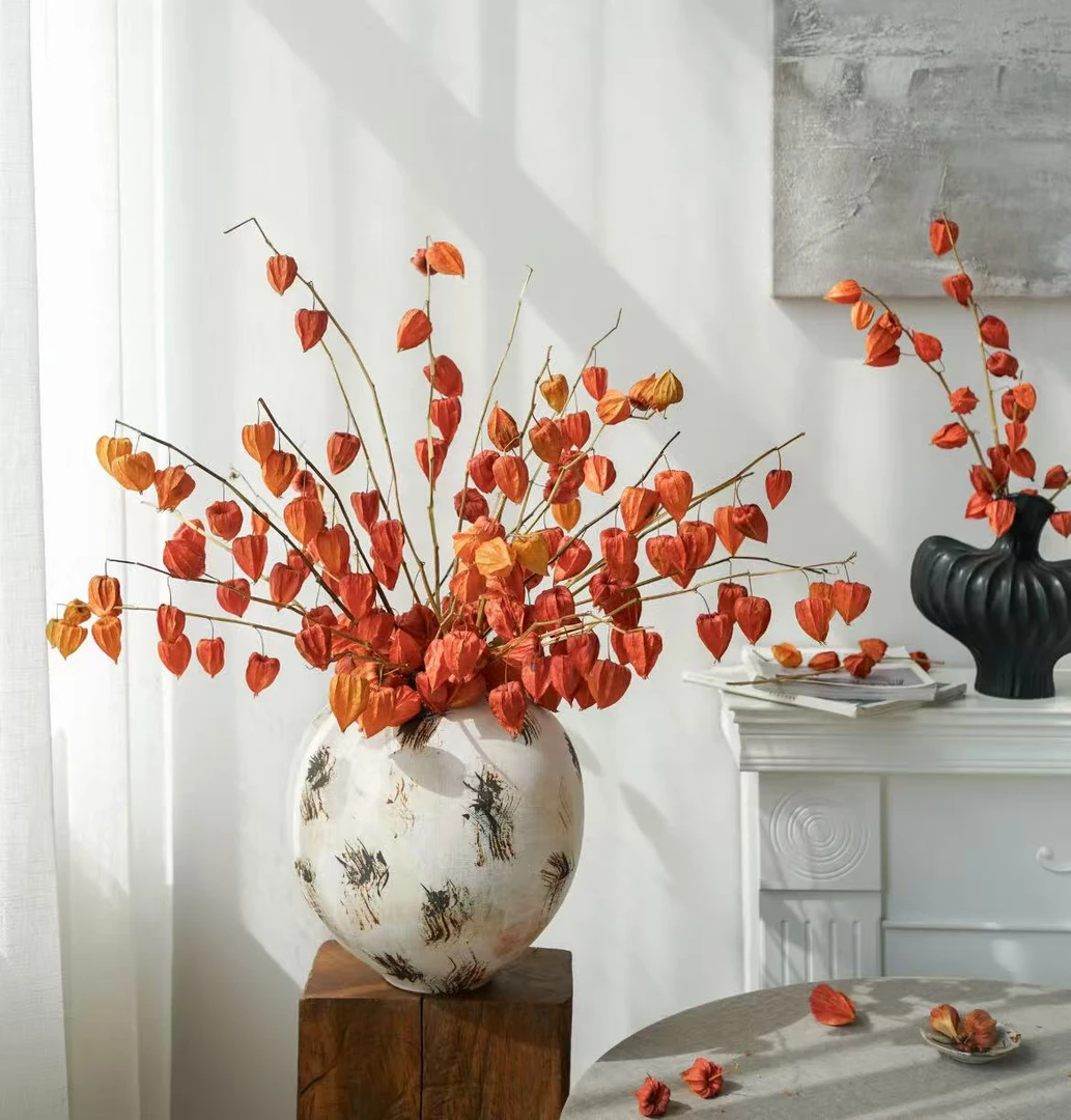 【云上花卉】酸浆果-任意2单鲜花包邮 发货后不支持退款