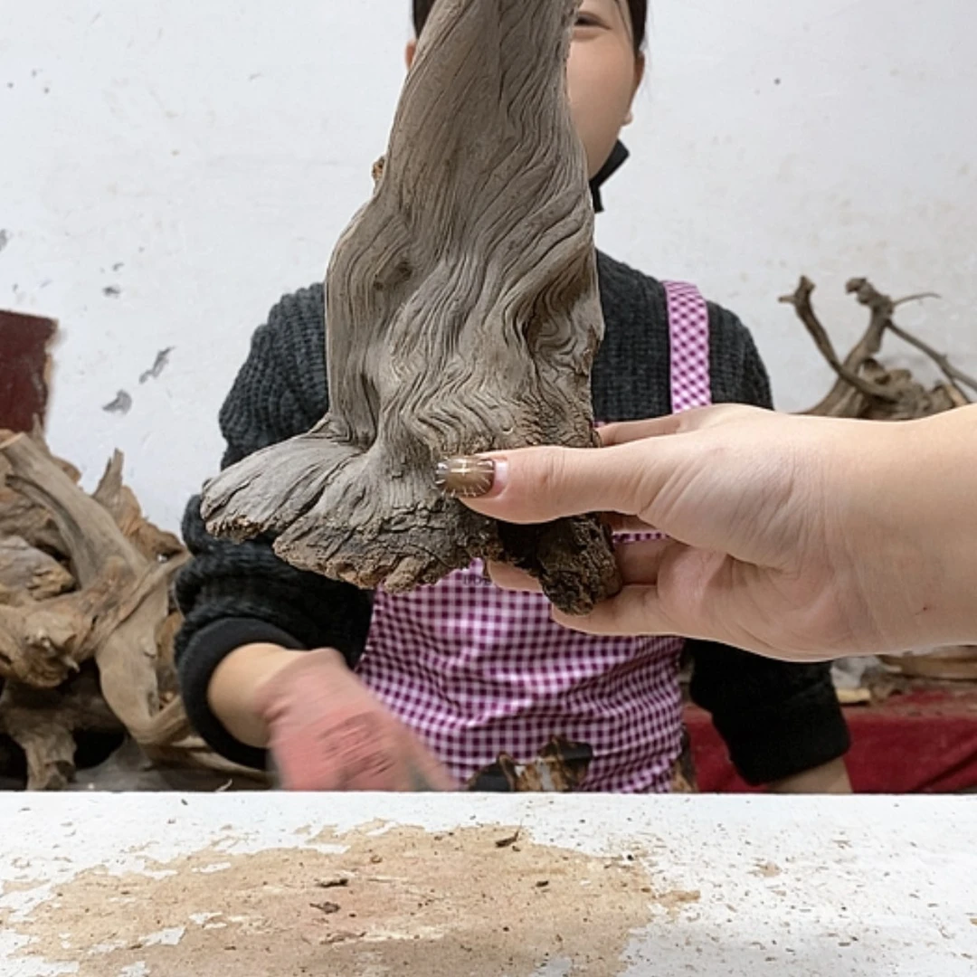 【闪购商品】柏木楼**何我们都是好孩子