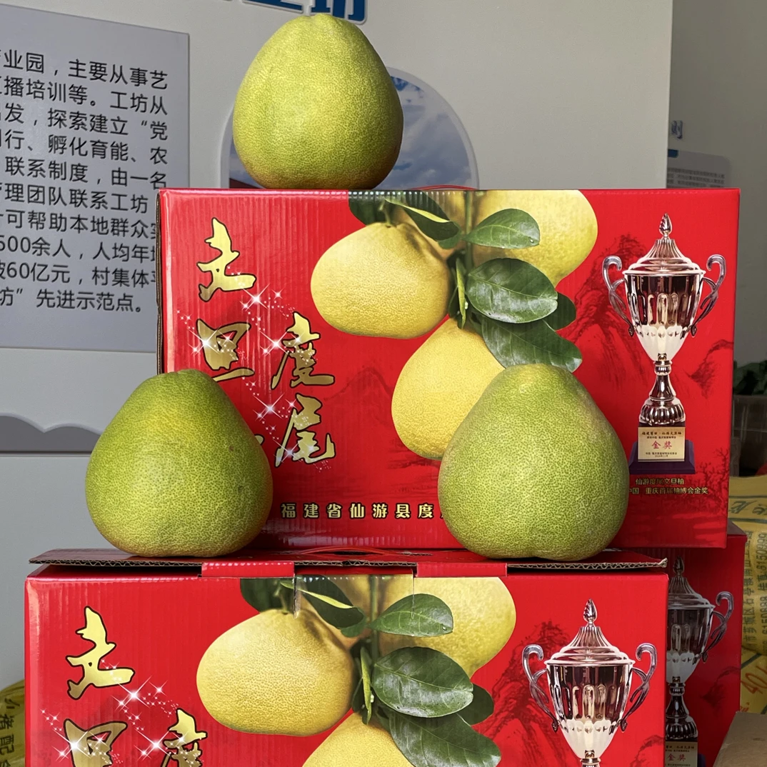 正宗福建仙游度尾文旦柚红心老树柚当季新鲜水果礼盒装