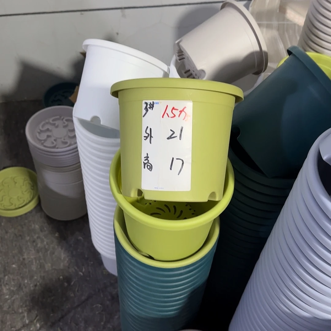 微瑕3号3个无托，果绿