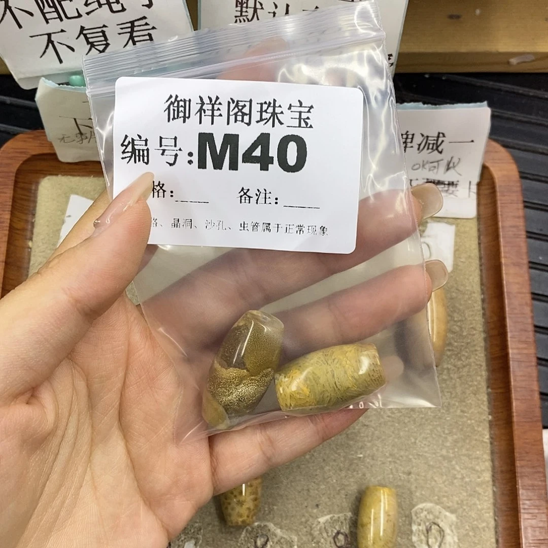 硅化珊瑚（珊瑚玉）未镶嵌颈饰陈*士