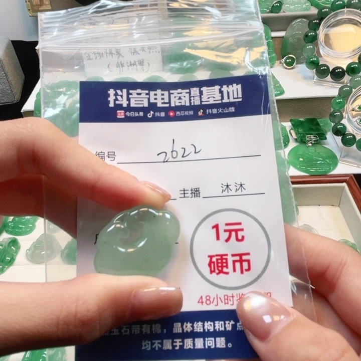 石英质玉未镶嵌颈饰