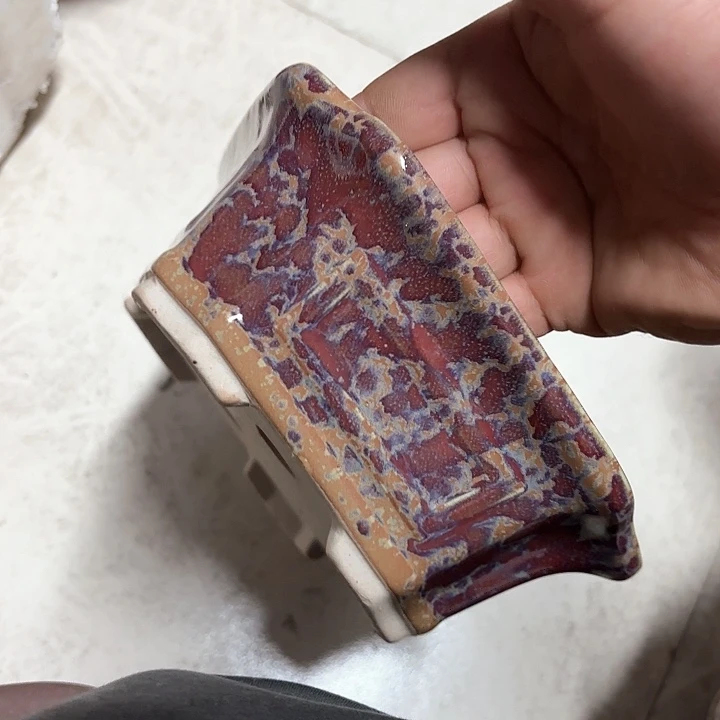 紫砂花盆紫砂的花开得很