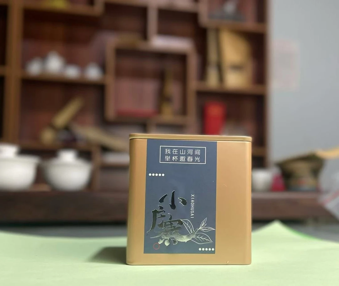 20颗2025年小户赛头春古树龙珠