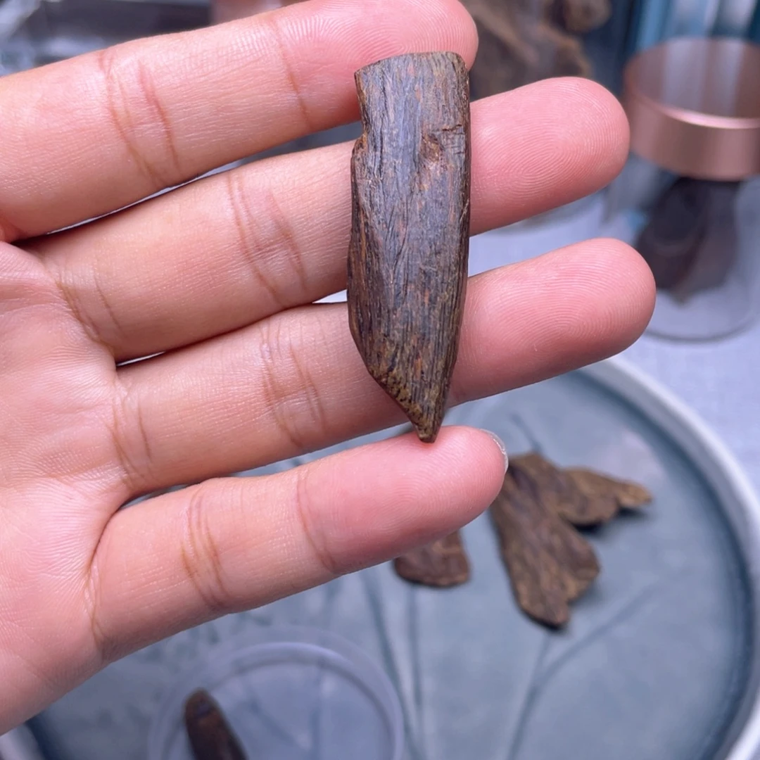 手把件沉香4.3克海南莺歌绿