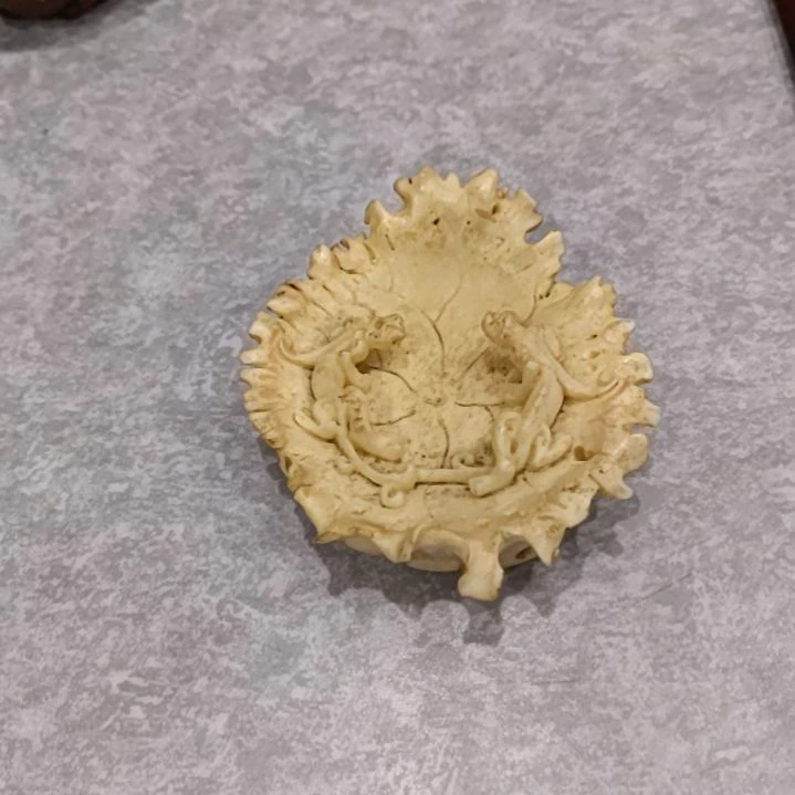 香榧木用****087445564135452