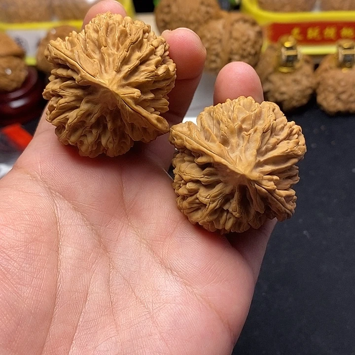 吊坠龙脊菩提太行山苹果园