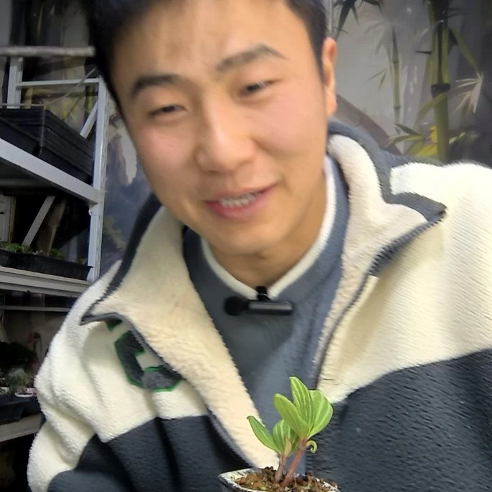 忧***子中青园艺一物一拍花154