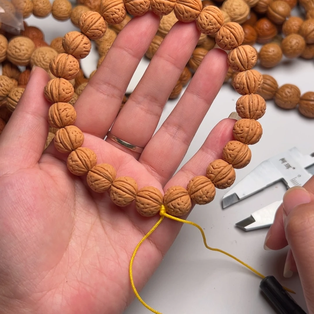 13尺寸野生元宝肚