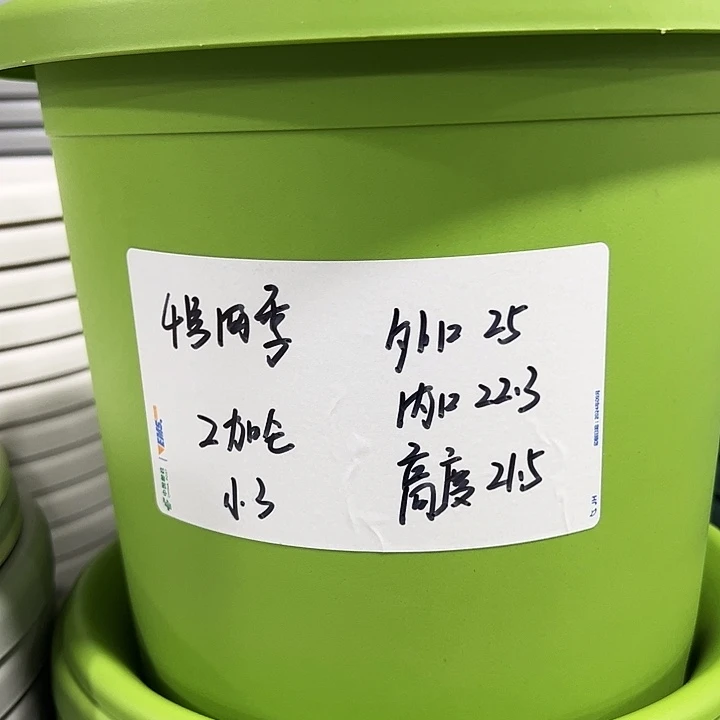特价4号口25高21.5果绿8只无托