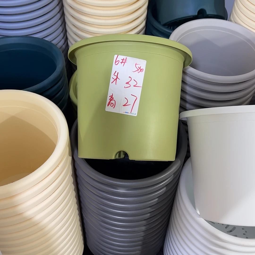 微瑕6号3个无托，果绿