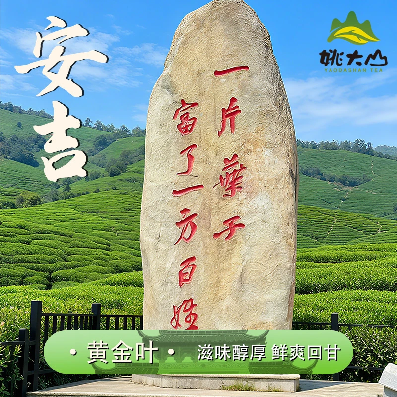 【姚大山】2025黄金叶  特级绿茶  茶叶