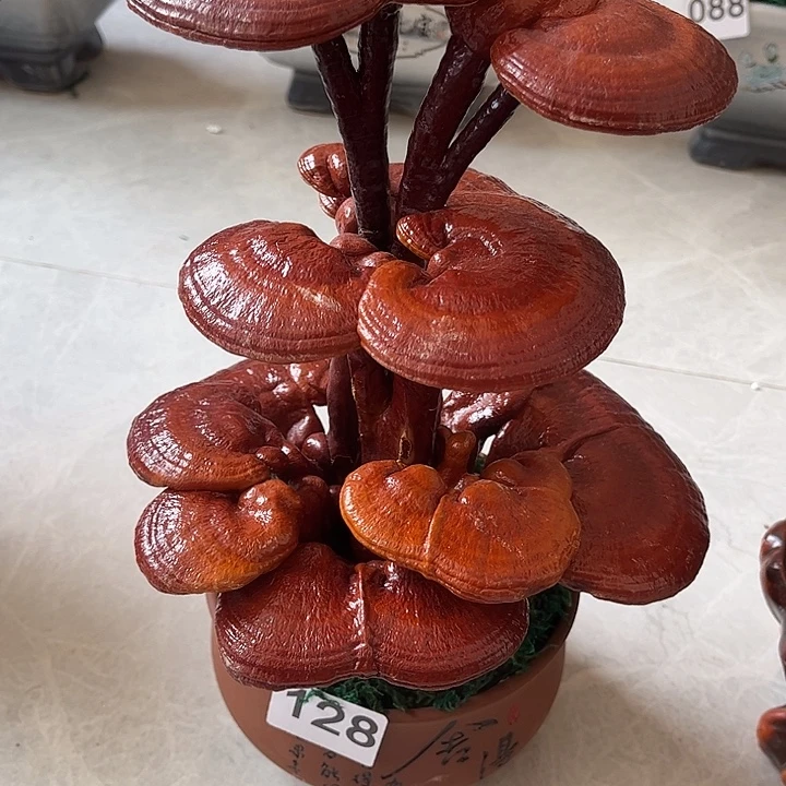 无花朵可观赏可食用