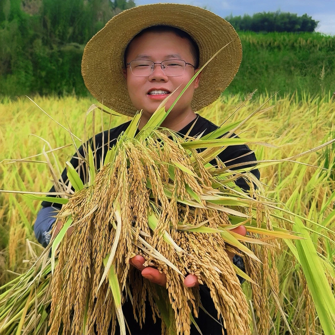 2025年新米桃子家乡新鲜现磨新米不抛光不打蜡不加香精生态长粒米