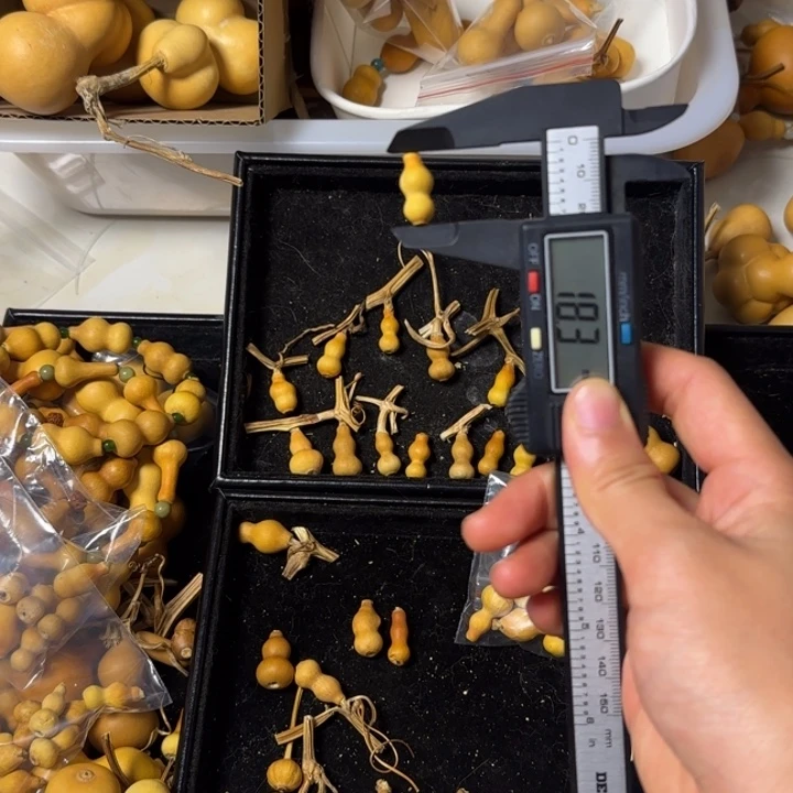 小***啦葫芦打孔后不退不换！（微瑕）