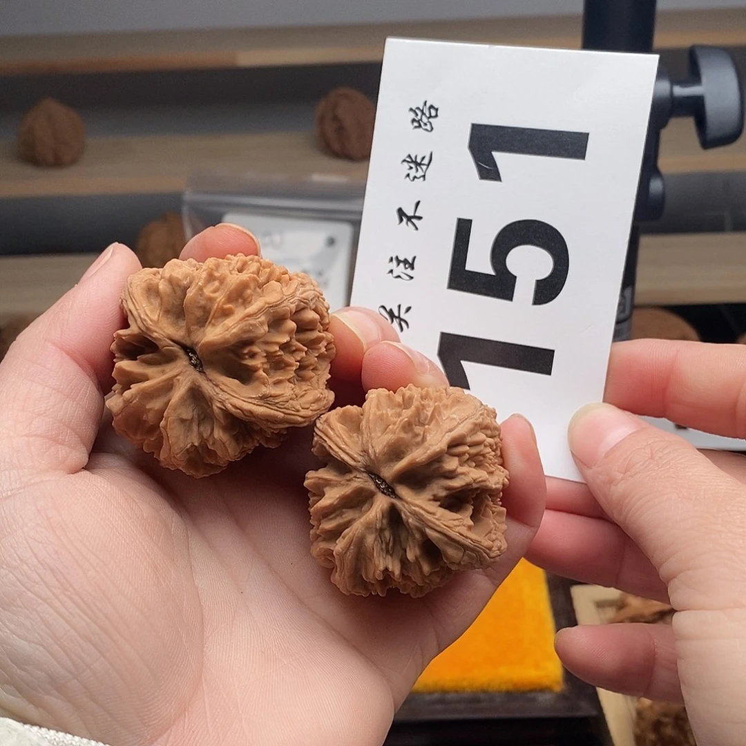核桃42大沽石 151