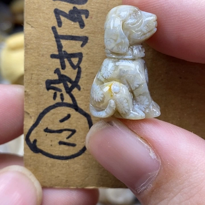 硅化珊瑚（珊瑚玉）未镶嵌颈饰