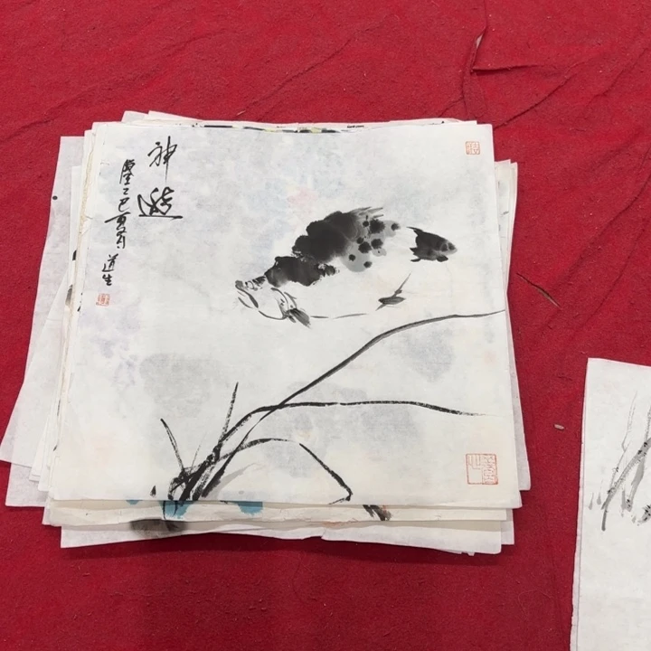 国画花鸟等多种鸟类和鸟类