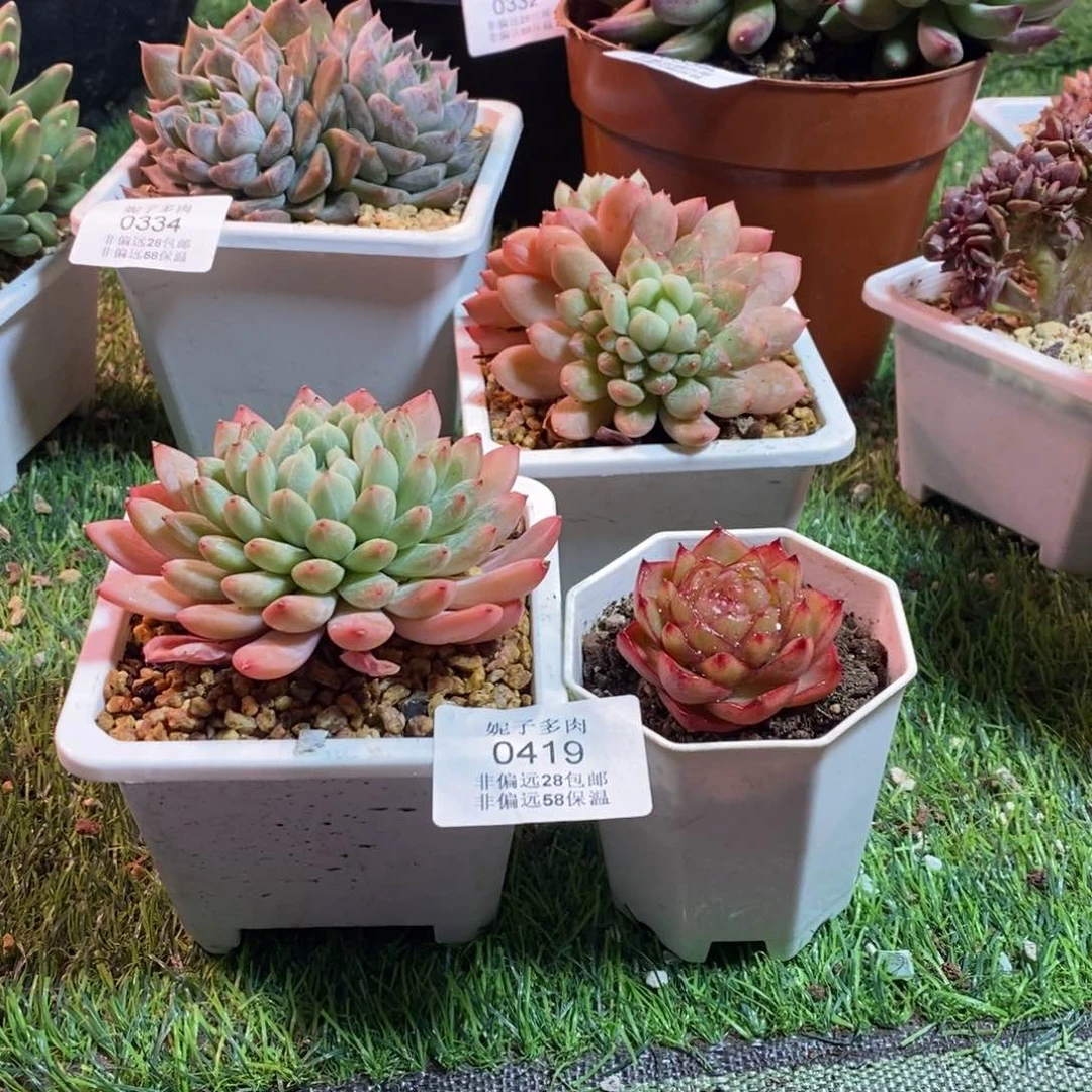 宝*0419啊啊啊啊啊啊啊