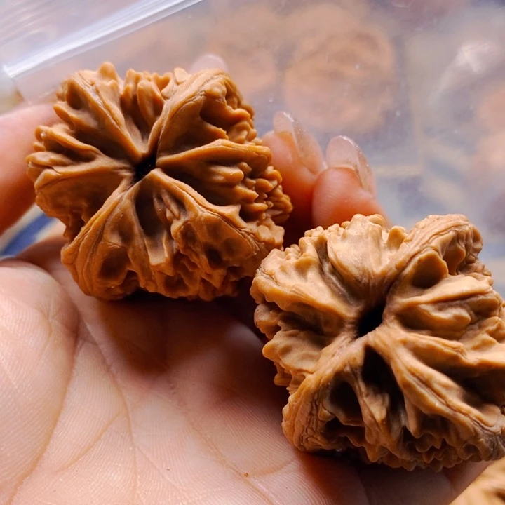 麦***顿文玩核桃把件大沽石