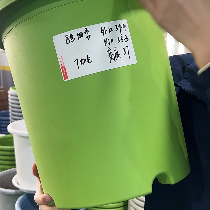 特价8号四季口39.4高37果绿无托3只