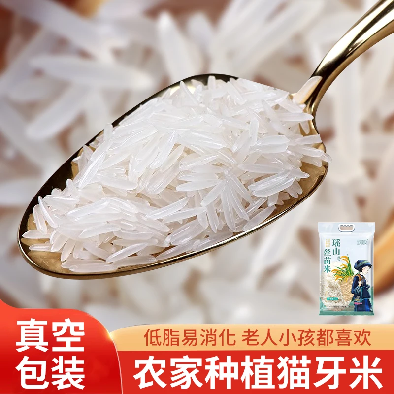 【瑶山丝苗米】2025新米农家正宗长粒香米猫牙米老少皆宜产地直发